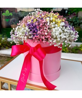 CAJA DECORADA GIPSOS COLORIDOS